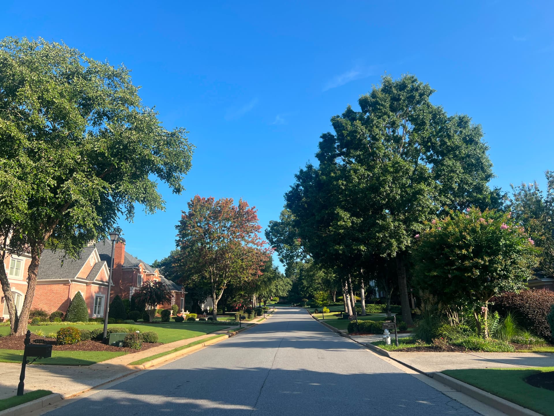 Tree-lined residential street inside St. Marlo Country Club